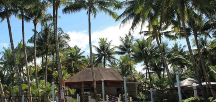 swimming pool and coconut trees in resort in Misamis Occidental