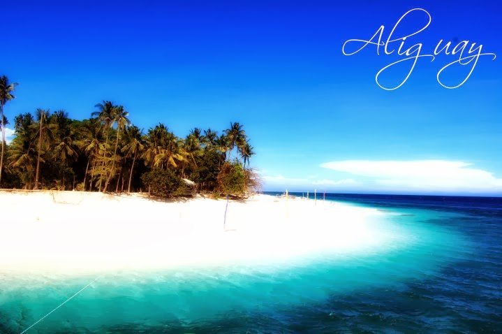 Misamis Occidental white sand beach and coconut trees