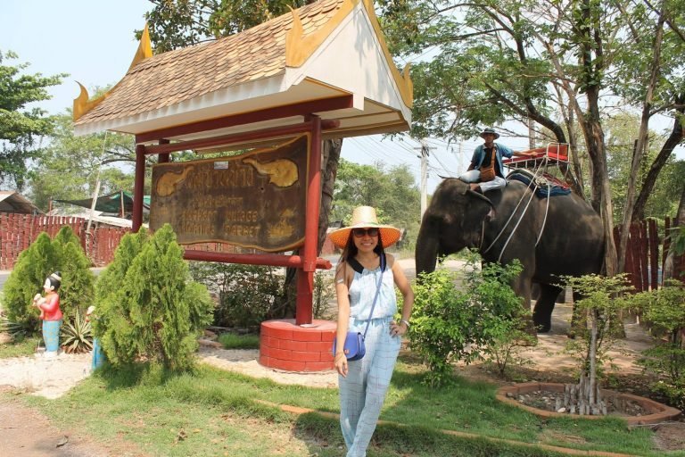 Damnoen Saduak: Elephant Village