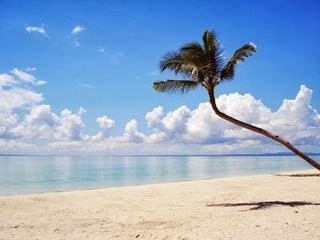 Misamis Occidental white sand beach and coconut tree