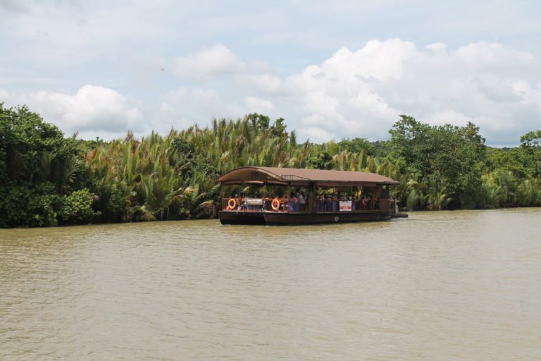 Loboc River Cruise