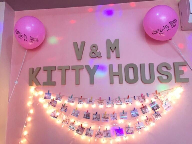 Feature Friday:  V & M Kitty House