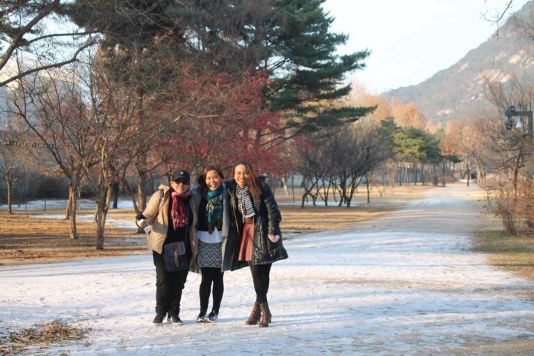 Take me Back, SoKor!