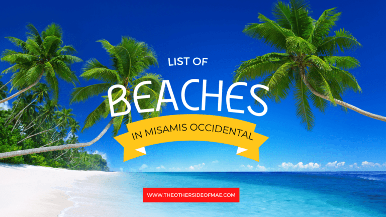 coconut trees in the list of beaches in Misamis Occidental