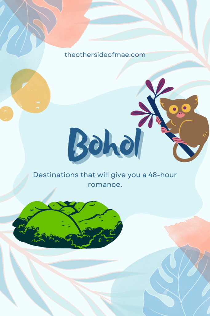 Bohol tarsier and chocolate hills
