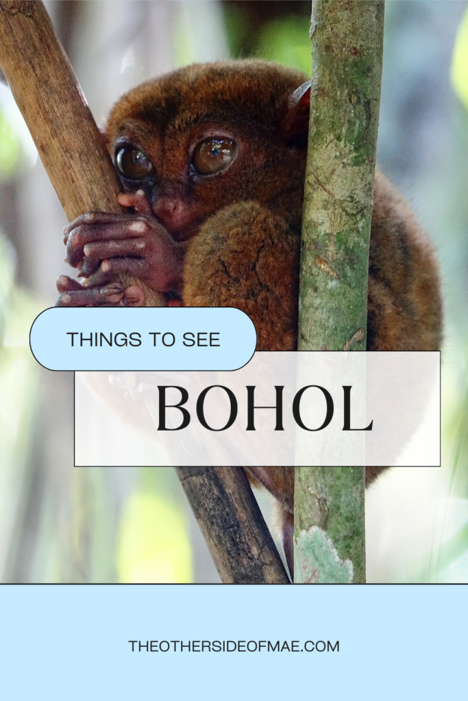 things to do in Bohol