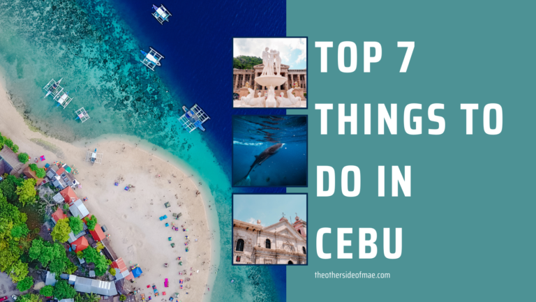 Cebu Island, Cebu whale shark