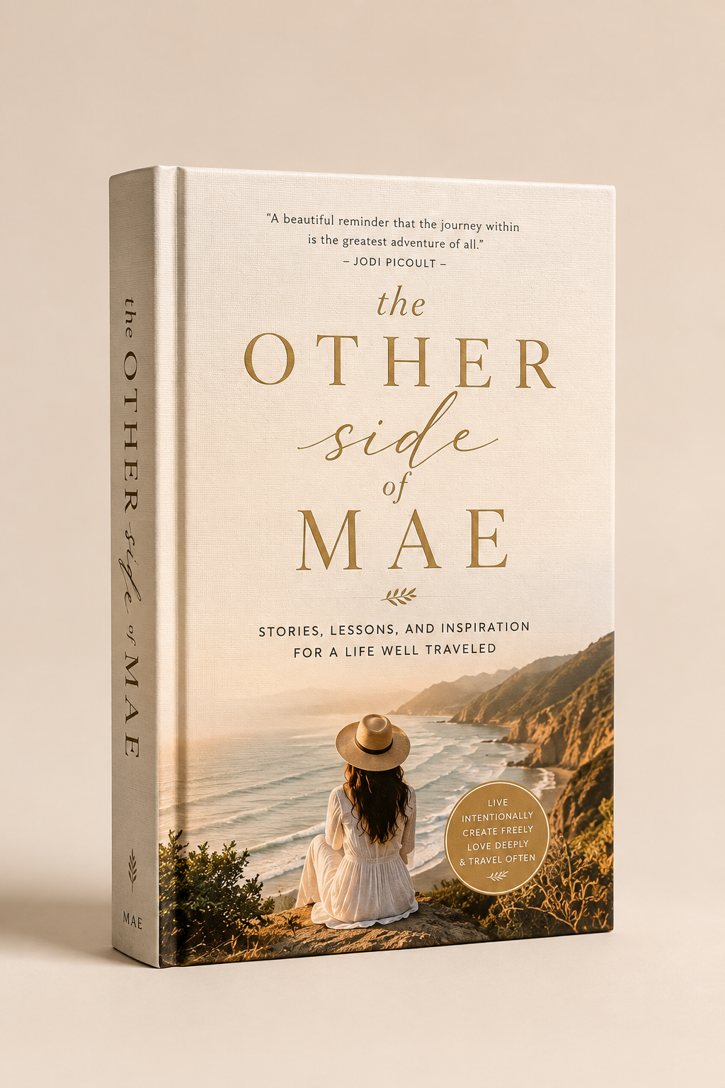 The Other Side of Mae book cover