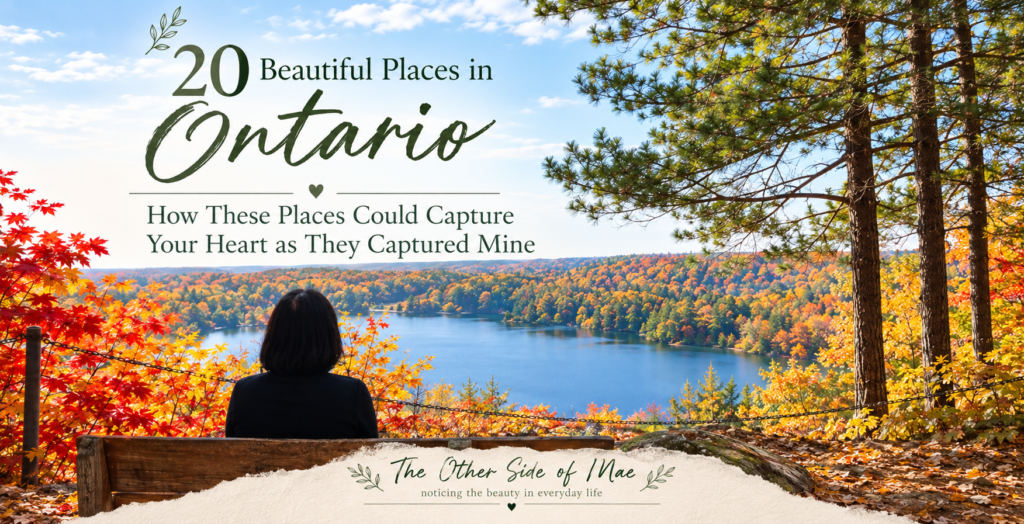Lady sitting and contemplating, looking at the lake in Ontario with fall colours